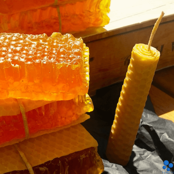 Lépes mézes mézszappan méhviasz gyertyával - Monszun