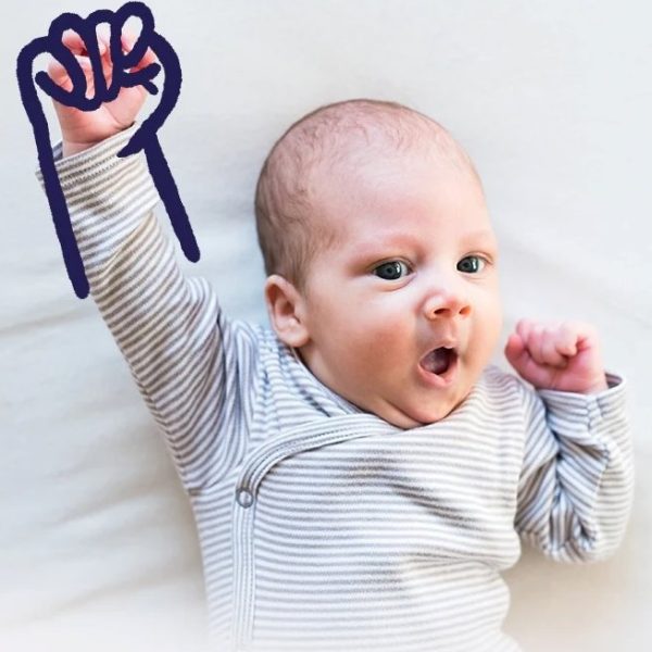 Bambino Mio all in one pelenka - Wildlife