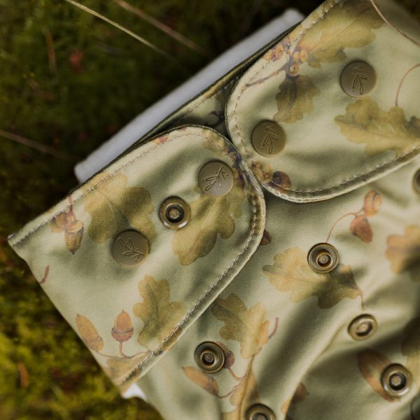 Elskbar sio pelenka - Acorn