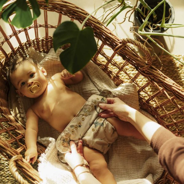 Elskbar Pul pelenkakülső - Birds