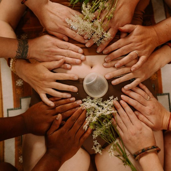 Elskbar menstruációs diszk